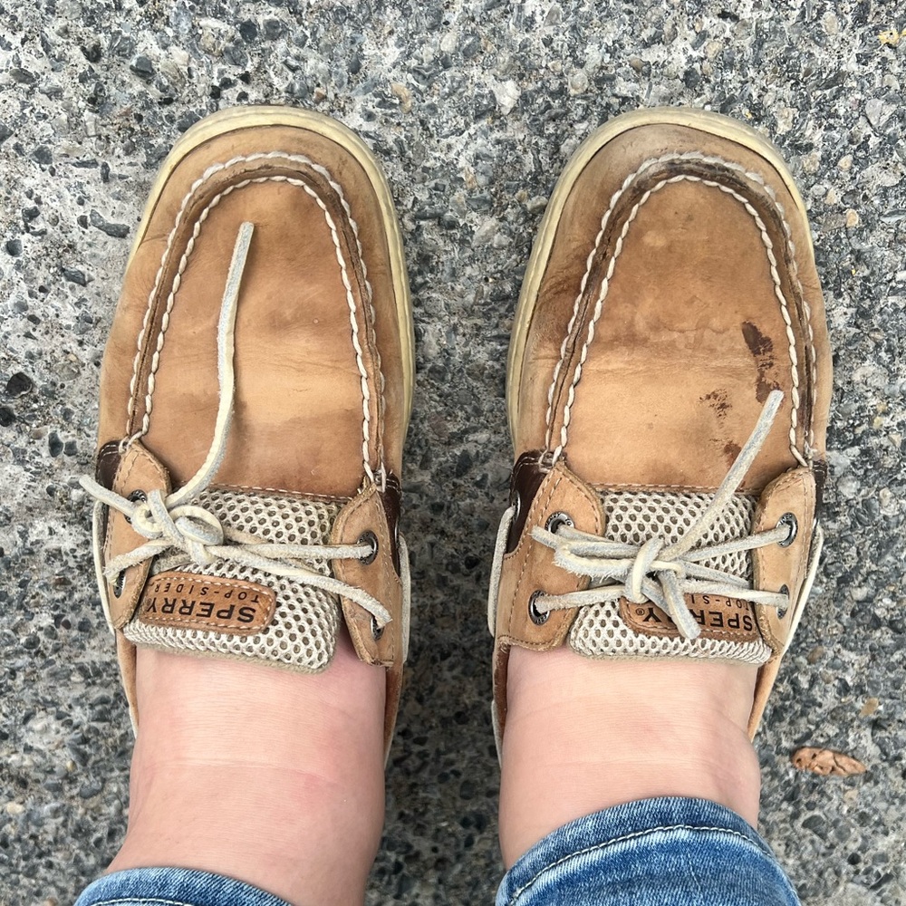 8.5 Sperrys
